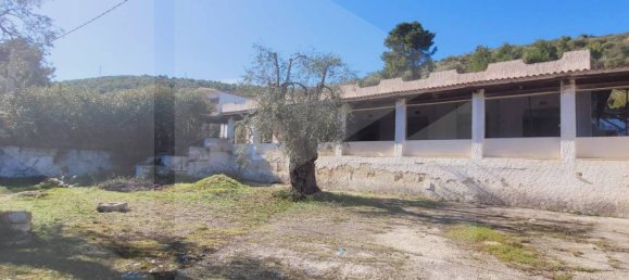 Imóvel comercial de 5 divisões em Vieste, Italy N.º 27001 41