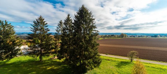 3-salle Appartement à Tubingen, Germany No. 291146 4