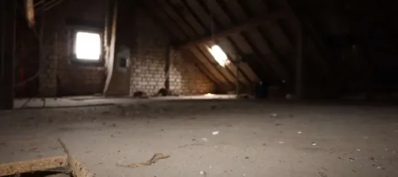 3 bedrooms House in Euskirchen, Germany No. 325292 28