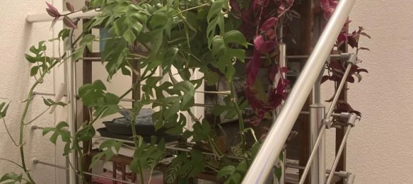 3 غرف نوم منزل في Blotzheim, France رقم 261031 4