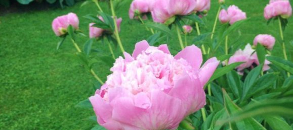 2 chambres Maison à Burmoos, Austria No. 132619 14