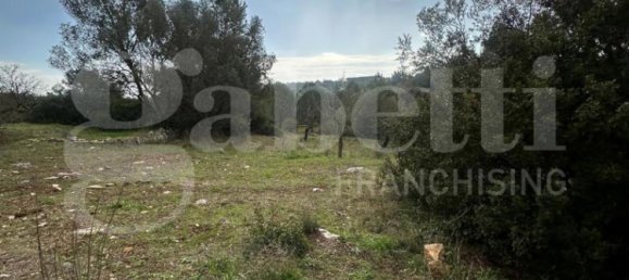 4 Schlafzimmer Haus in Ostuni, Italy, Nr. 29504 33