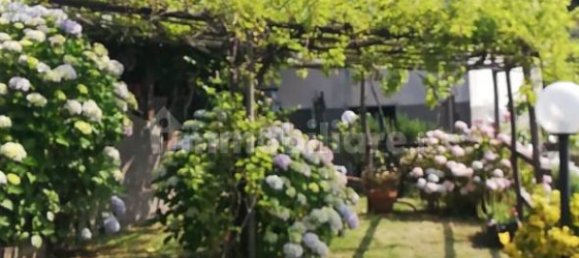 5 rooms Building in Tribogna, Italy No. 263111 2