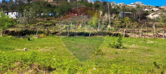 2 bedrooms House in Santiago de Piaes, Portugal No. 168027 6