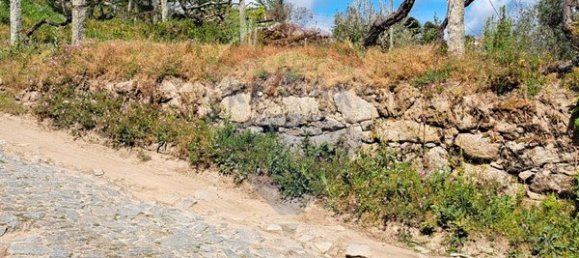 2 bedrooms House in Santiago de Piaes, Portugal No. 168027 4