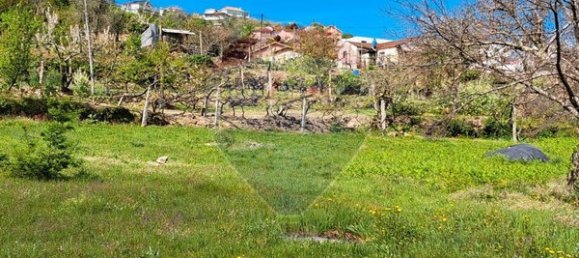 2 bedrooms House in Santiago de Piaes, Portugal No. 168027 21