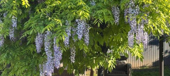 7 rooms House in Pasching, Austria No. 174280 17