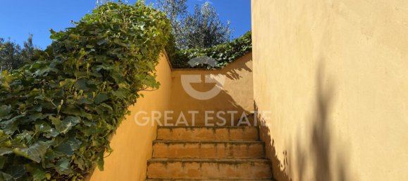4 bedrooms Land in Magliano in Toscana, Italy No. 329320 11