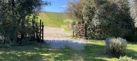 4 bedrooms Land in Magliano in Toscana, Italy No. 329320 8