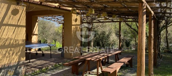 4 bedrooms Land in Magliano in Toscana, Italy No. 329320 9