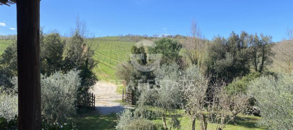4 bedrooms Land in Magliano in Toscana, Italy No. 329320 12