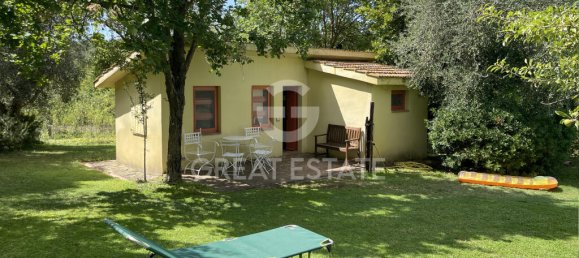 4 bedrooms Land in Magliano in Toscana, Italy No. 329320 13