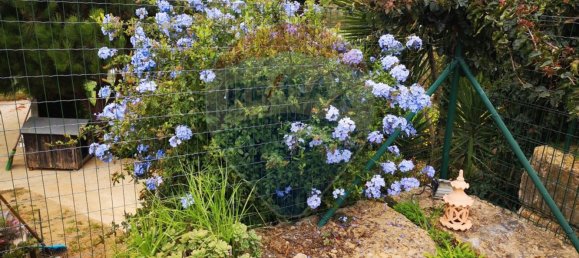 3 bedrooms House in Ericeira, Portugal No. 163441 36