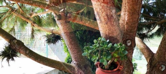 3 bedrooms House in Ericeira, Portugal No. 163441 39