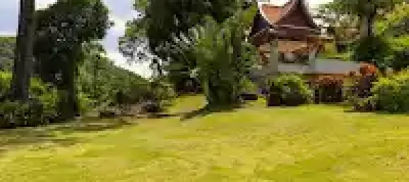 7 bedrooms Villa in Kamala, Thailand No. 10958 23