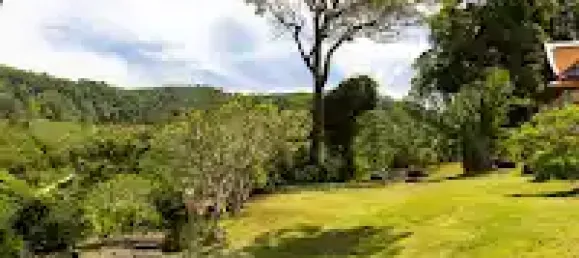 7 bedrooms Villa in Kamala, Thailand No. 10958 22