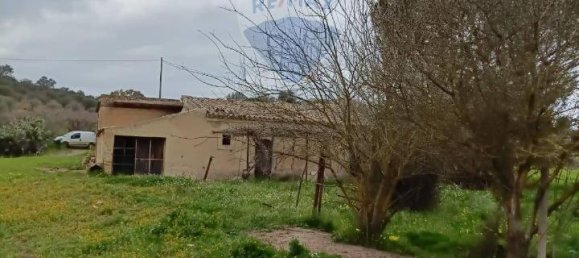 1-Zimmer Grundstück in Grammichele, Italy, Nr. 72188 11