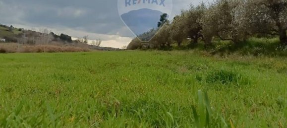 1-Zimmer Grundstück in Grammichele, Italy, Nr. 72188 14