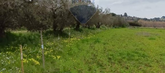 1-Zimmer Grundstück in Grammichele, Italy, Nr. 72188 15