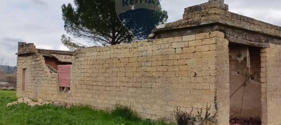 1-Zimmer Grundstück in Grammichele, Italy, Nr. 72188 3