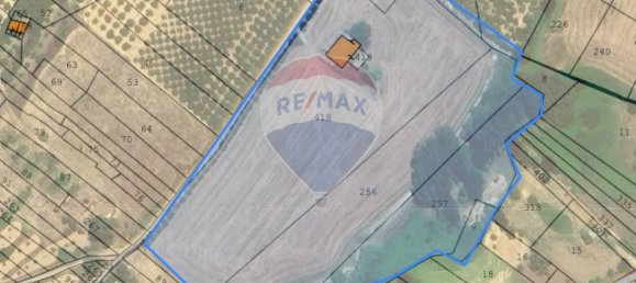 1-Zimmer Grundstück in Grammichele, Italy, Nr. 72188 16