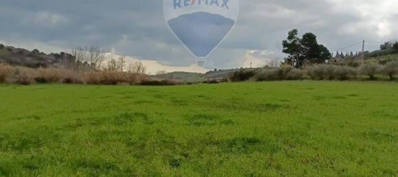 1-Zimmer Grundstück in Grammichele, Italy, Nr. 72188 12