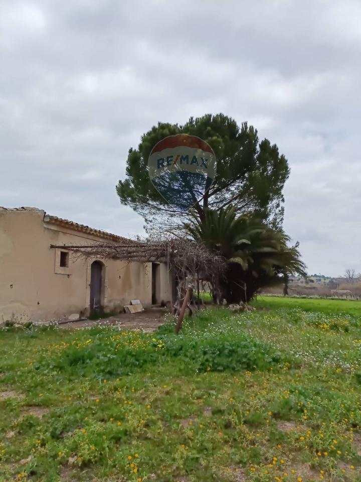 1-Zimmer Grundstück in Grammichele, Italy, Nr. 72188