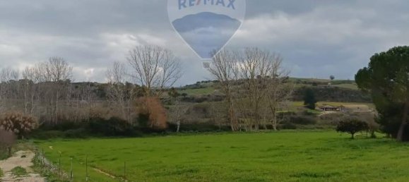 1-Zimmer Grundstück in Grammichele, Italy, Nr. 72188 6