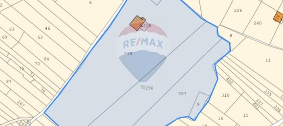 1-Zimmer Grundstück in Grammichele, Italy, Nr. 72188 17