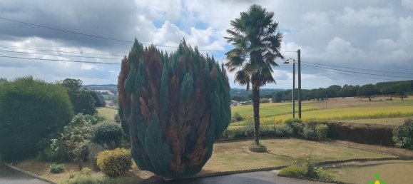 3 غرف نوم منزل في Ille-et-Vilaine, France رقم 341298 15