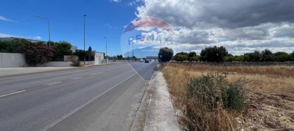 Terrain à Monopoli, Italy 5000m² No. 266317 12