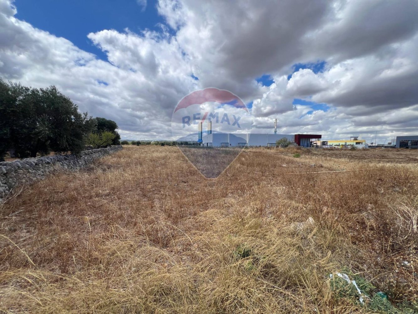 Terrain à Monopoli, Italy 5000m² No. 266317