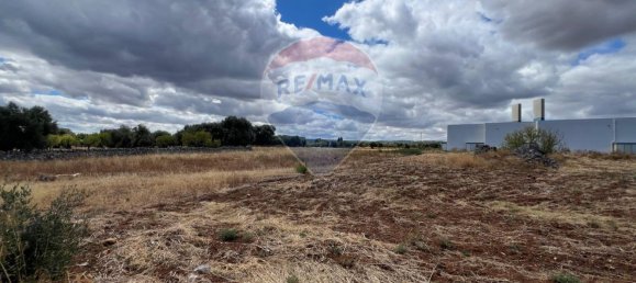 Terrain à Monopoli, Italy 5000m² No. 266317 15