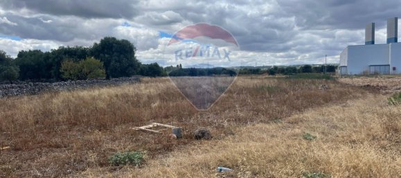 Terrain à Monopoli, Italy 5000m² No. 266317 2