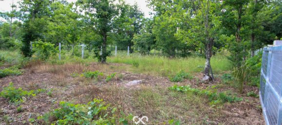 Terrain à Tondela, Portugal No. 77267 11