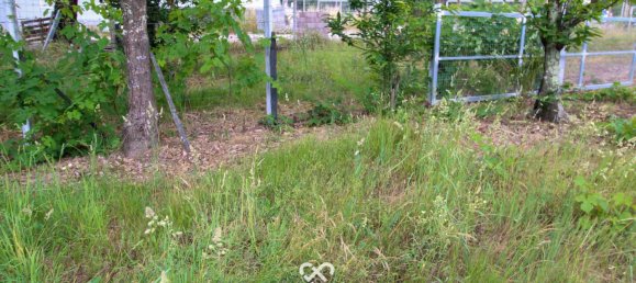 Terrain à Tondela, Portugal No. 77267 9