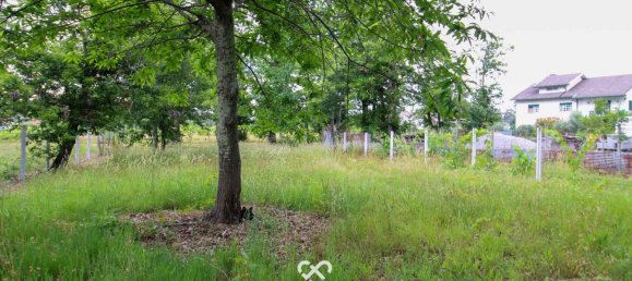 Terrain à Tondela, Portugal No. 77267 7