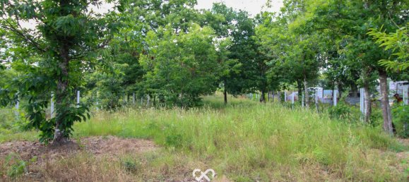 Terrain à Tondela, Portugal No. 77267 10