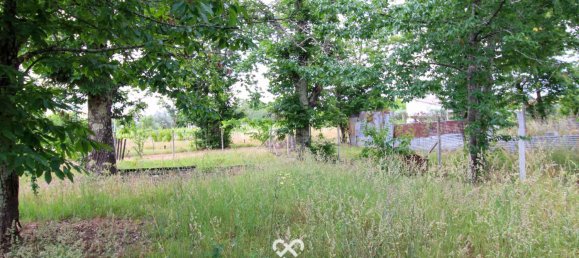 Terrain à Tondela, Portugal No. 77267 6