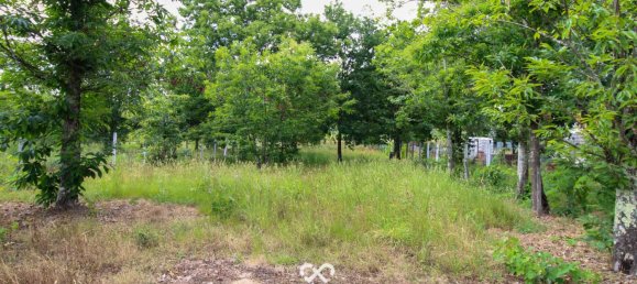 Terrain à Tondela, Portugal No. 77267 2