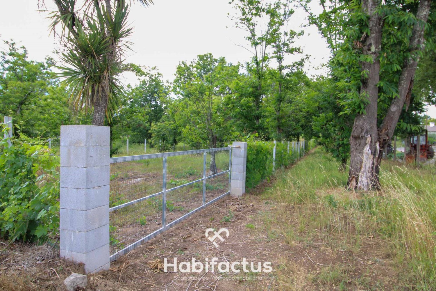 Terrain à Tondela, Portugal No. 77267