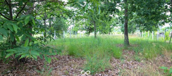 Terrain à Tondela, Portugal No. 77267 8