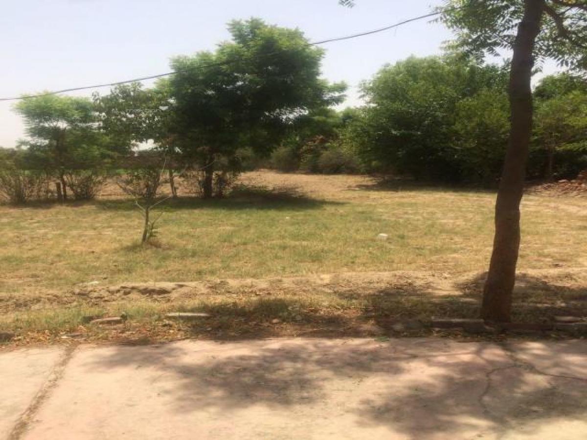 Земельный участок в Гургаон, Индия № 34924