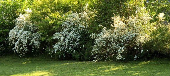 Casa de 5 habitaciónes en Hof bei Salzburg, Austria No. 84388 15