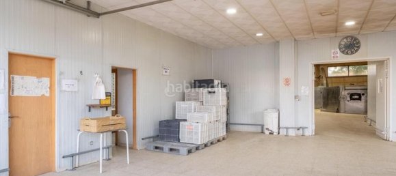 Склад 2412м² в Альфакар, Испания № 181375 16