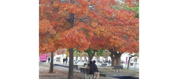 3 Schlafzimmer Doppelhaus in Lisbon, Portugal, Nr. 142193 48