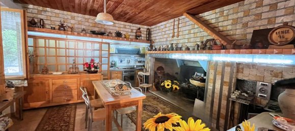 10 bedrooms Villa in Massa Martana, Italy No. 342940 5