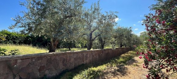 10 bedrooms Villa in Massa Martana, Italy No. 342940 2