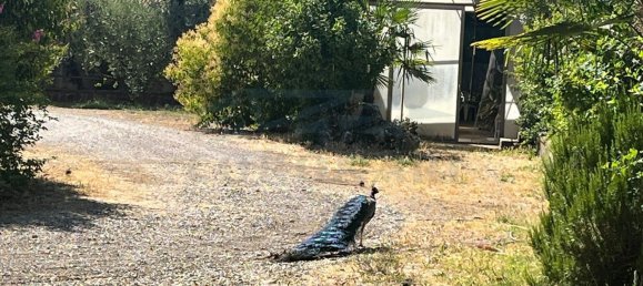 10 bedrooms Villa in Massa Martana, Italy No. 342940 14