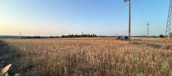  قطعة أرض في Mallorca, Spain رقم 155365 16